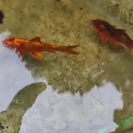 Διαμέρισμα Evris House Oasis *